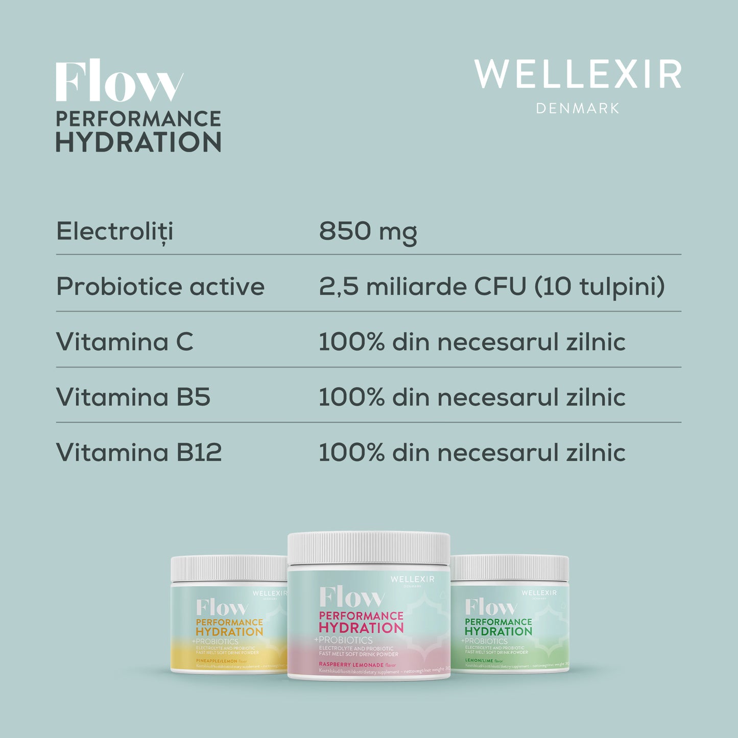 Săruri de rehidratare cu electroliți, vitamine si probiotice - limonadă de zmeură - 300g, 60 porții