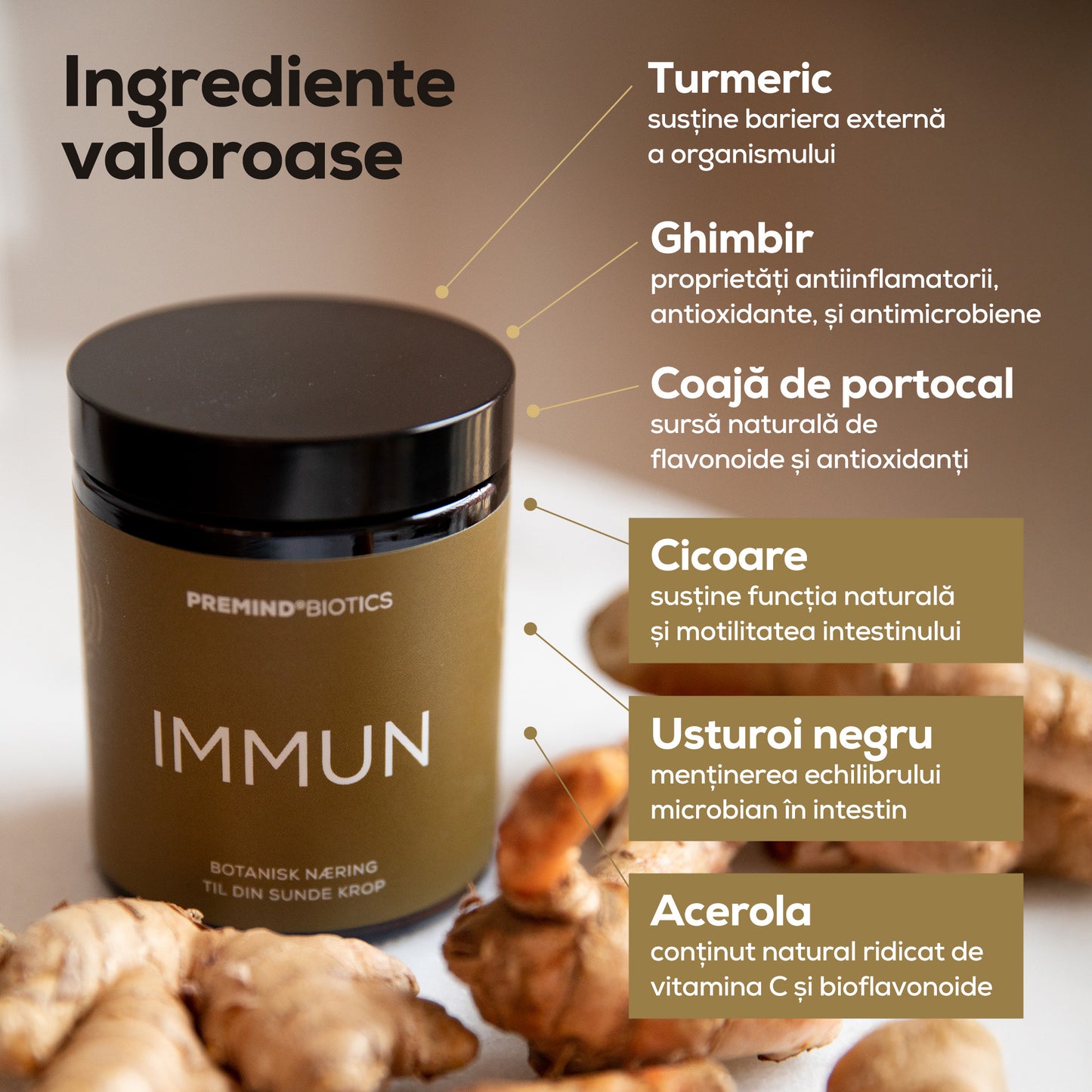 Prebiotice IMMUN – Supliment alimentar pentru întărirea sistemului imunitar