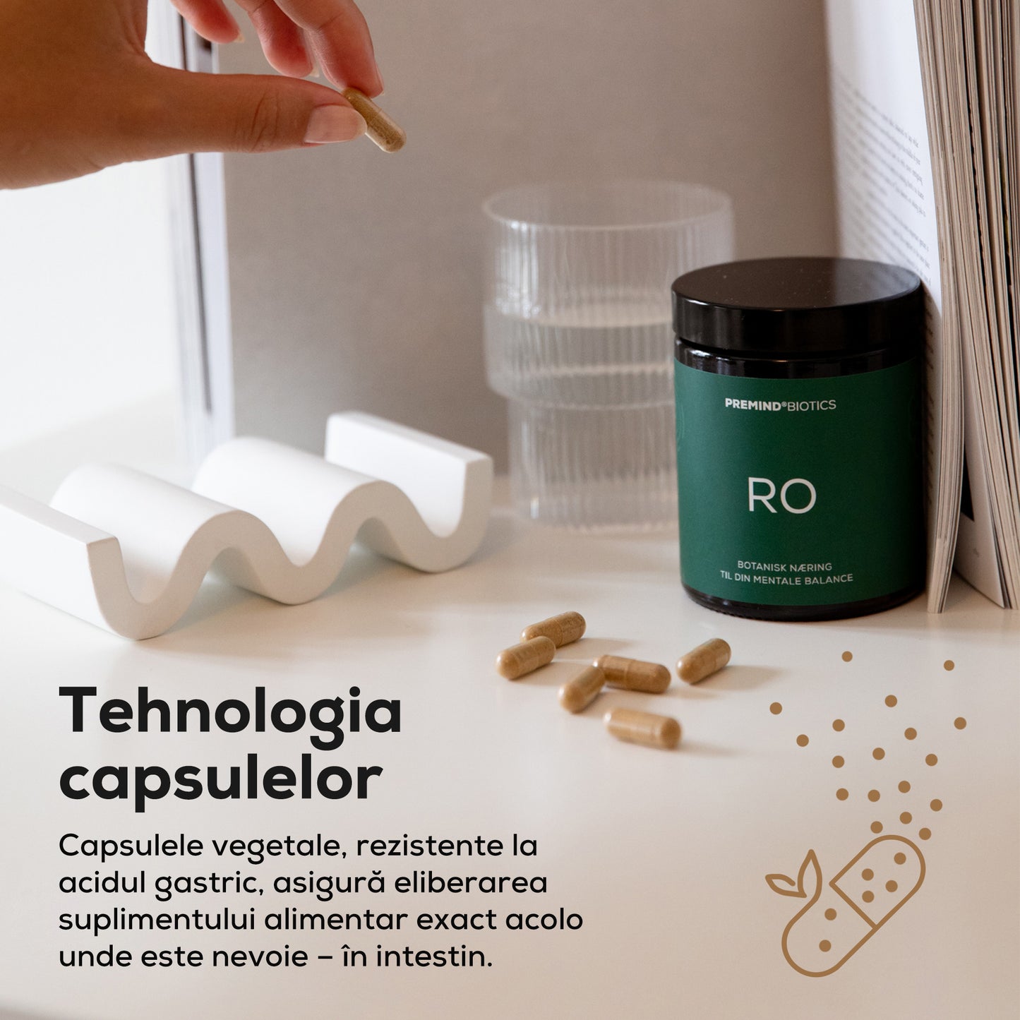 Prebiotice RO – Supliment alimentar pentru liniștea interioară