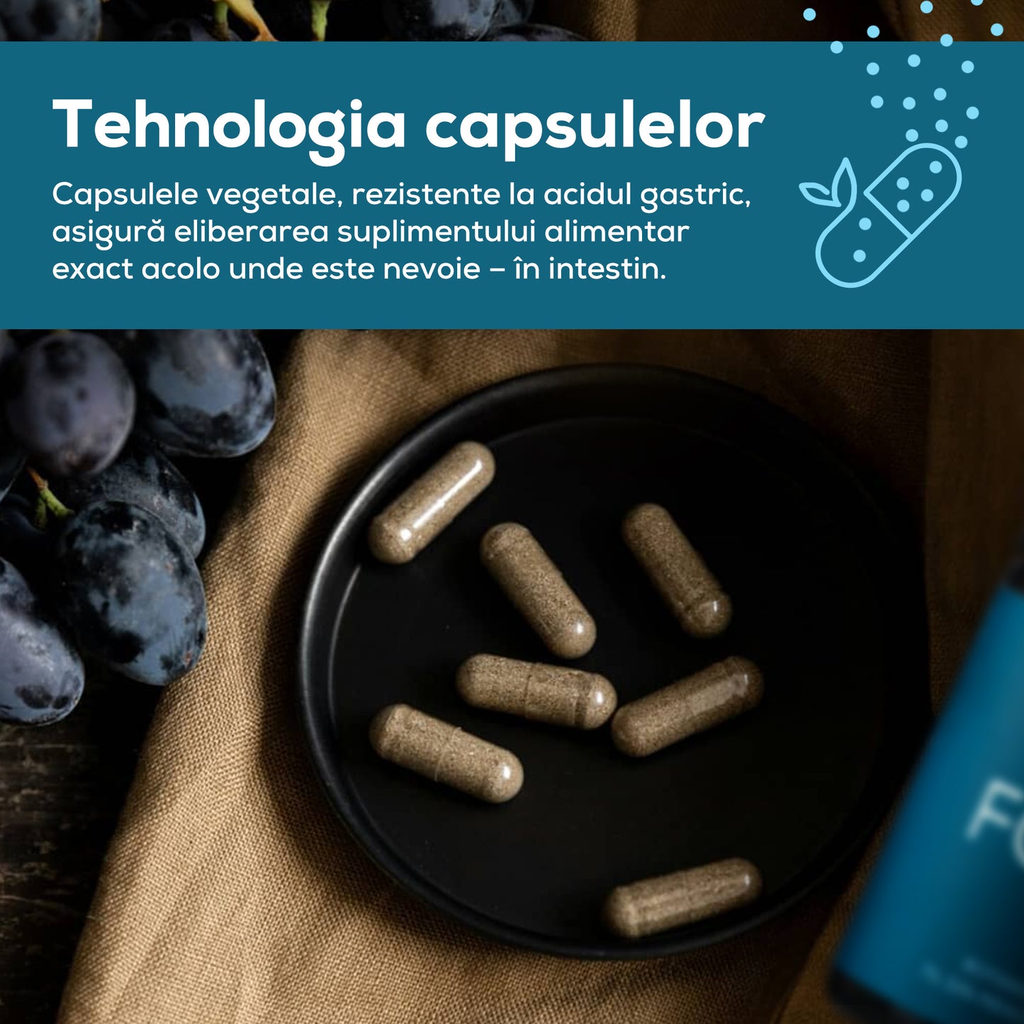 Prebiotice FOKUS – Suport pentru concentrare, cu vitamine B6 & B12