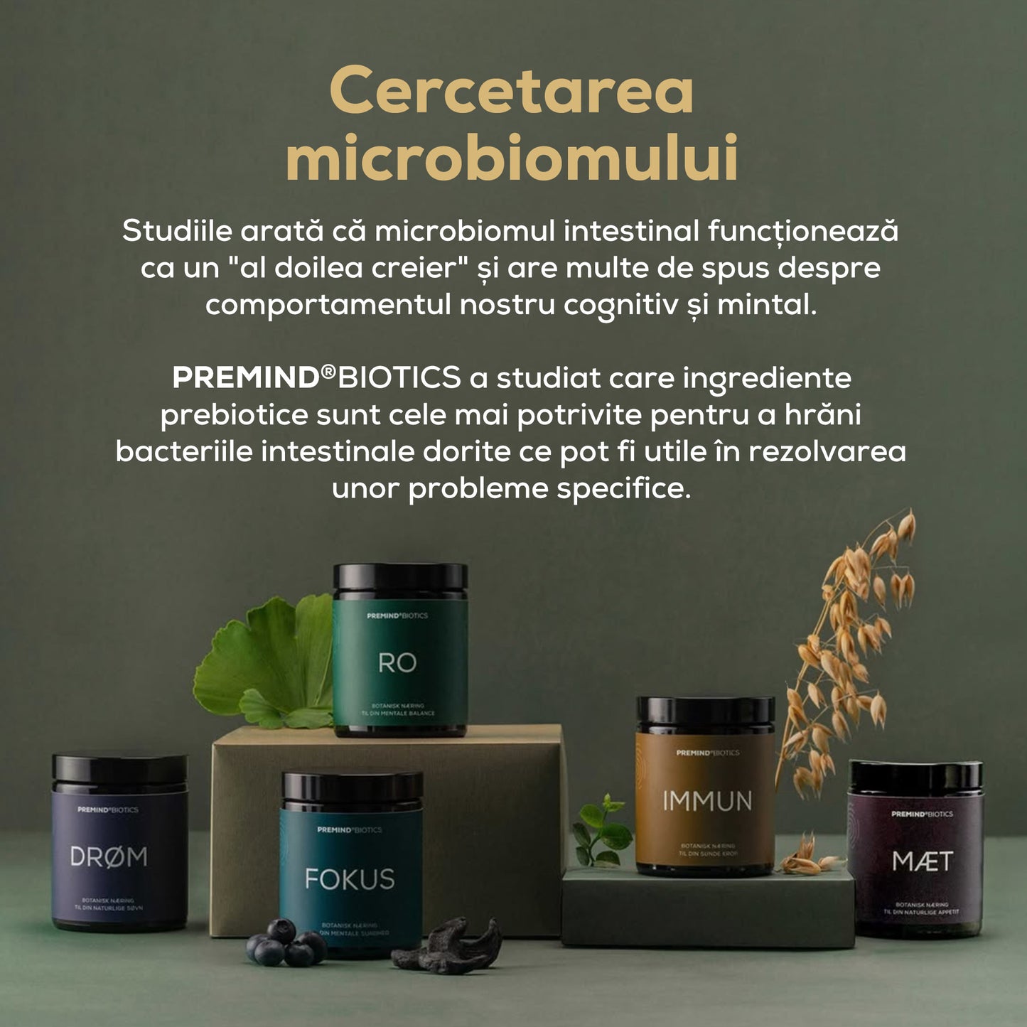 Prebiotice IMMUN – Supliment alimentar pentru întărirea sistemului imunitar
