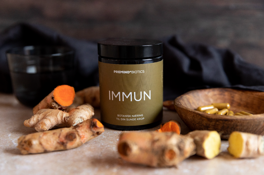 Prebiotice IMMUN – Supliment alimentar pentru întărirea sistemului imunitar