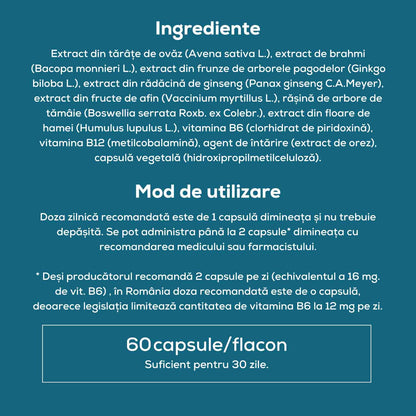 Prebiotice FOKUS – Suport pentru concentrare, cu vitamine B6 & B12