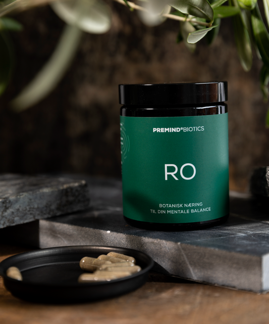 Prebiotice RO – Supliment alimentar pentru liniștea interioară